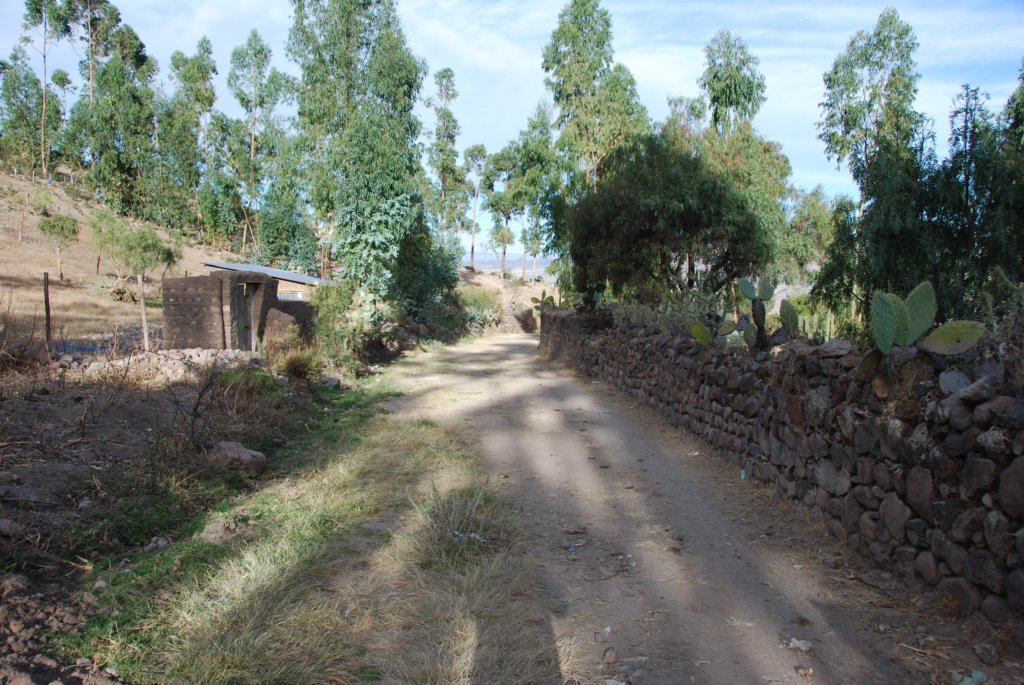 Chemin de descente à travers la campagne