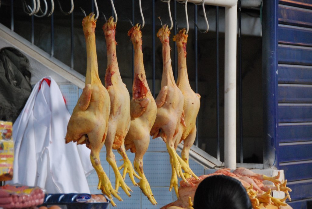 Poulets au marché
