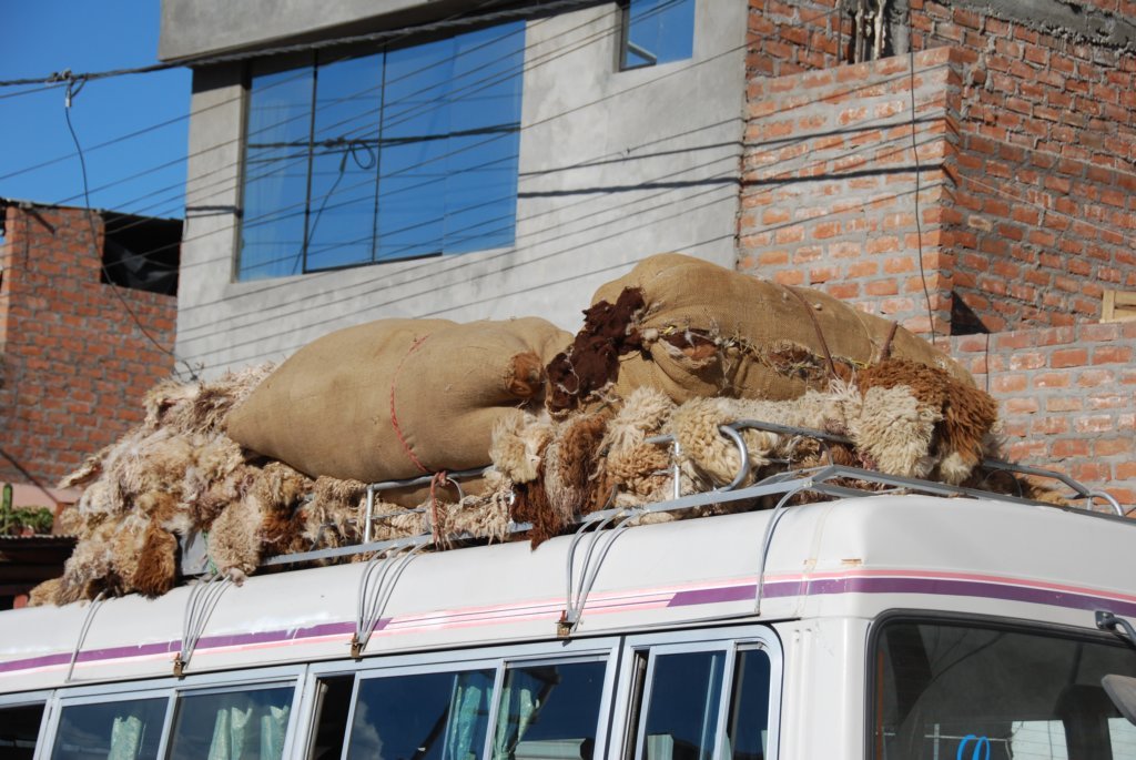 transportdepeauxdalpagasurlautobus.jpg