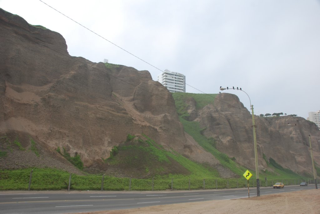 visitesurleborddemermiraflores.jpg