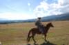 dsc_0236_small.jpg