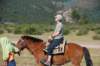 dsc_0247_small.jpg