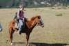 dsc_0250_small.jpg