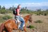 dsc_0267_small.jpg