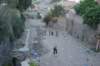 dsc_0431_small.jpg