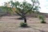dsc_0489_small.jpg