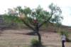 dsc_0493_small.jpg
