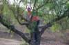 dsc_0494_small.jpg