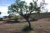 dsc_0496_small.jpg