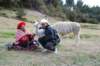 dsc_0703_small.jpg