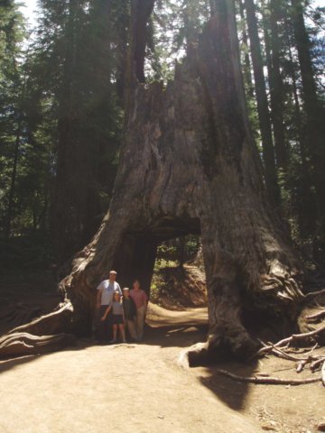 Une photo de l'album « Californie Mai 2004 » sur le site web de la famille Ratté.