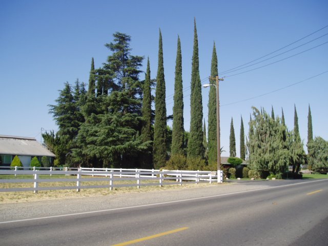 Une photo de l'album « Californie Mai 2004 » sur le site web de la famille Ratté.