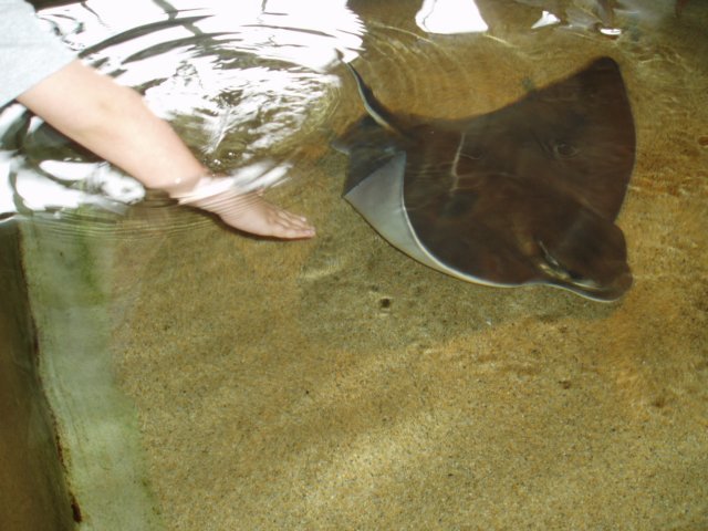Une photo de l'album « Californie Mai 2004 » sur le site web de la famille Ratté.