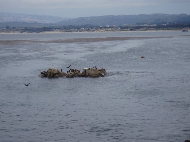 Une photo de l'album « Californie Mai 2004 » sur le site web de la famille Ratté.