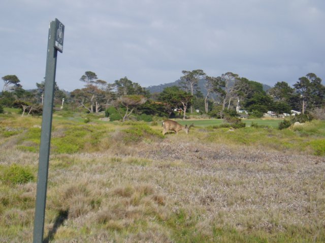 Une photo de l'album « Californie Mai 2004 » sur le site web de la famille Ratté.