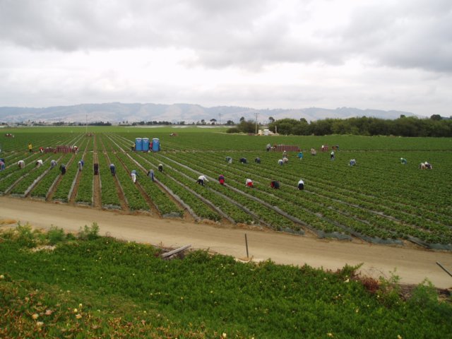 Une photo de l'album « Californie Mai 2004 » sur le site web de la famille Ratté.