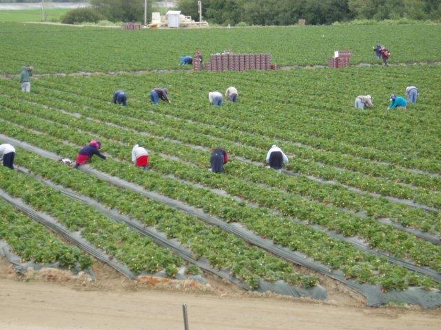 Une photo de l'album « Californie Mai 2004 » sur le site web de la famille Ratté.
