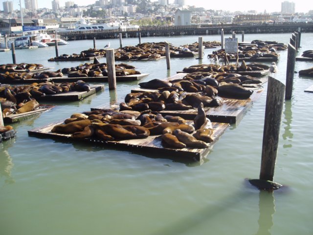 Une photo de l'album « Californie Mai 2004 » sur le site web de la famille Ratté.