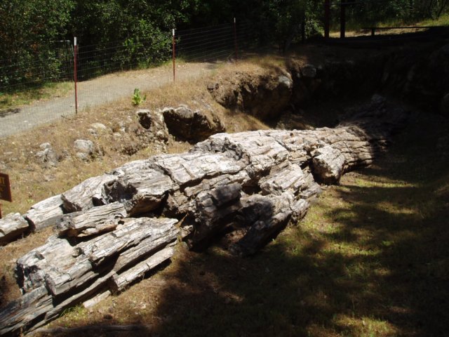 Une photo de l'album « Californie Mai 2004 » sur le site web de la famille Ratté.