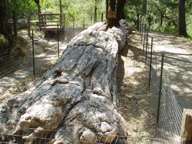 Une photo de l'album « Californie Mai 2004 » sur le site web de la famille Ratté.