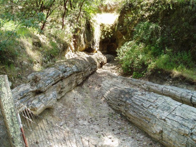Une photo de l'album « Californie Mai 2004 » sur le site web de la famille Ratté.