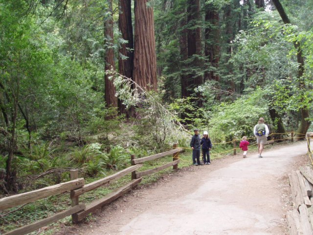 Une photo de l'album « Californie Mai 2004 » sur le site web de la famille Ratté.