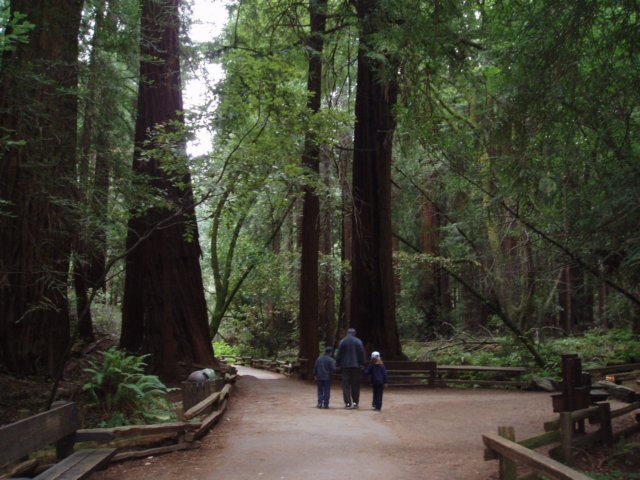 Une photo de l'album « Californie Mai 2004 » sur le site web de la famille Ratté.