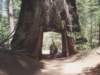 Photo Number 19