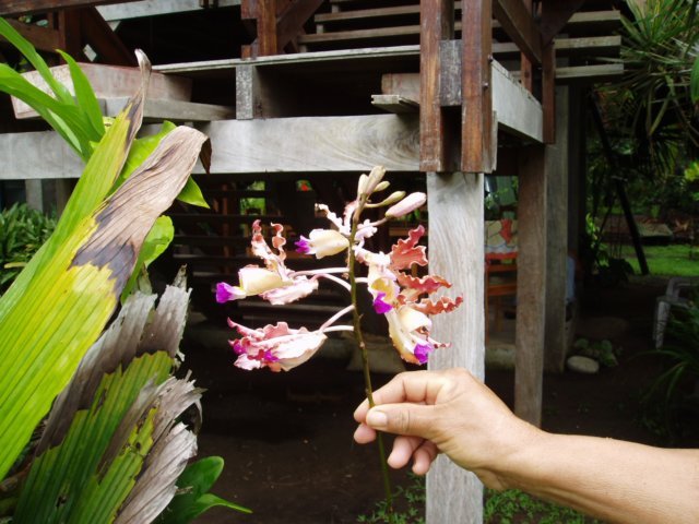 Photograph