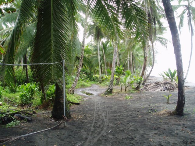Une photo de l'album « Costa Rica 2004 » sur le site web de la famille Ratté.