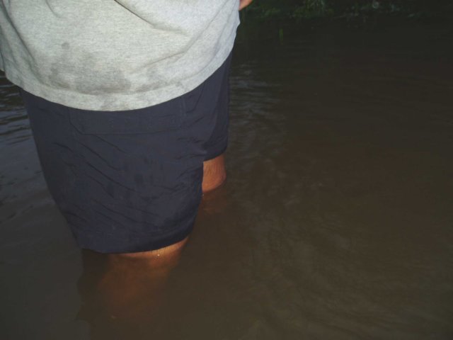 Une photo de l'album « Costa Rica 2004 » sur le site web de la famille Ratté.