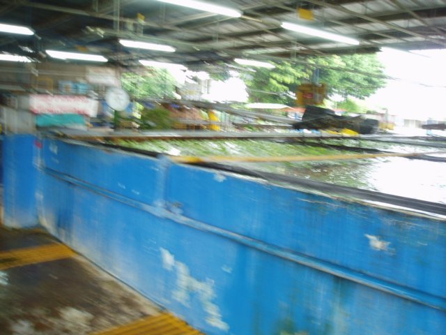 Une photo de l'album « Costa Rica 2004 » sur le site web de la famille Ratté.