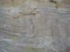 p7200221_small.jpg