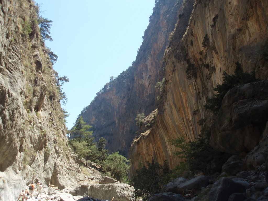 p7200225.jpg
