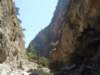 p7200225_small.jpg