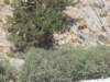 p7210276_small.jpg