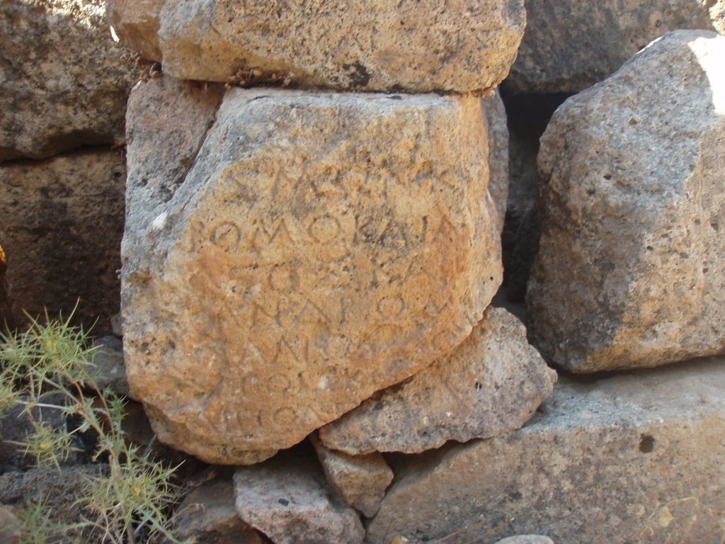 p7220303.jpg