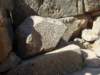 p7220305_small.jpg