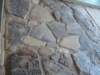 p7230376_small.jpg