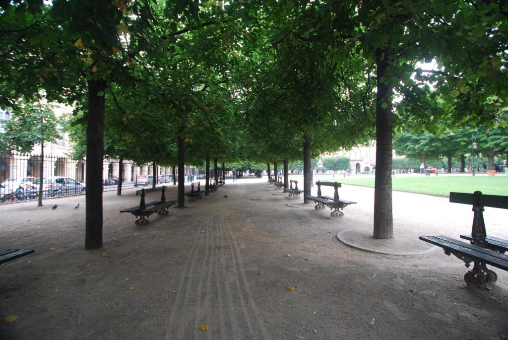 jardin.jpg