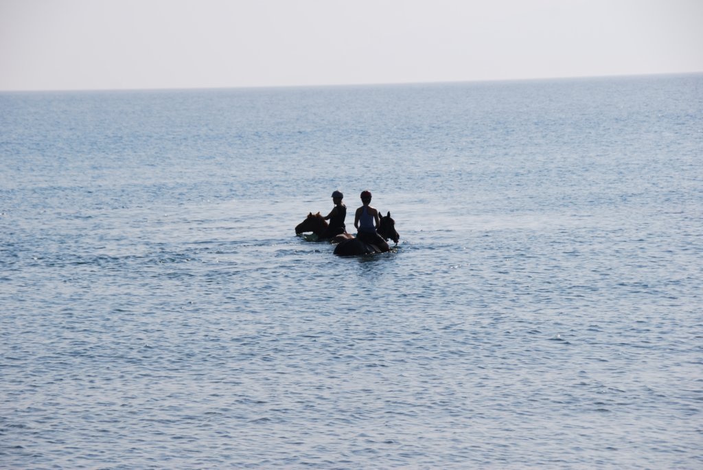 On chevauche dans la mer