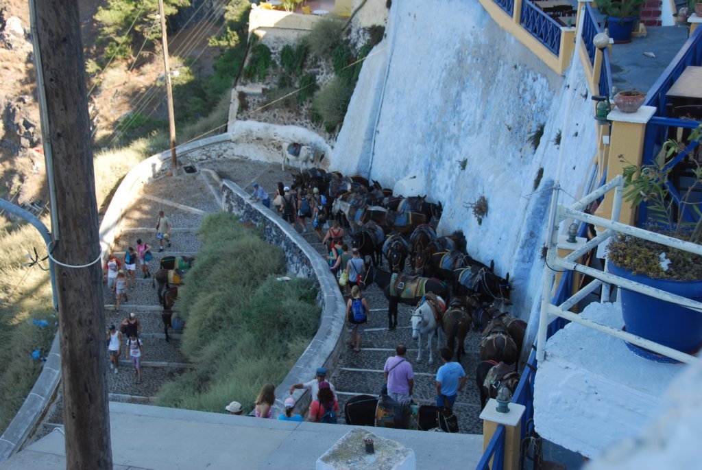 Escalier pour descendre au port, beaucoup utilisé par les âniers