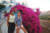 lesfleurssontmagnifiqueicidesbougainvilliers_small.jpg