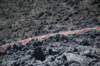 couledelaveincandescente_small.jpg