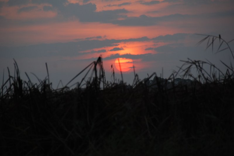 leverdusoleil.jpg