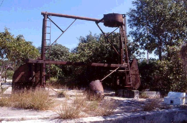 Une photo de l'album « Floride Mars 2003 » sur le site web de la famille Ratté.
