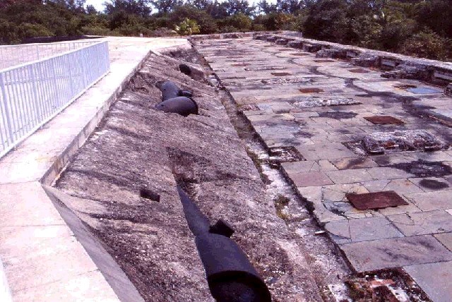 Une photo de l'album « Floride Mars 2003 » sur le site web de la famille Ratté.