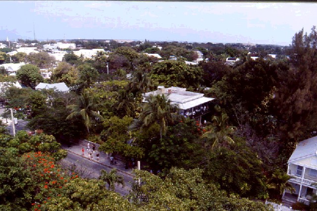Une photo de l'album « Floride Mars 2003 » sur le site web de la famille Ratté.