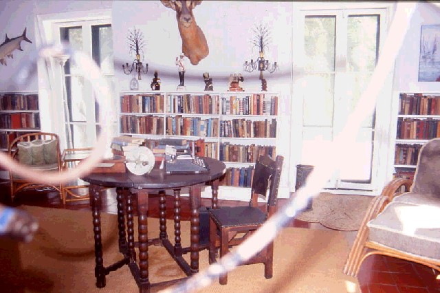 Photograph