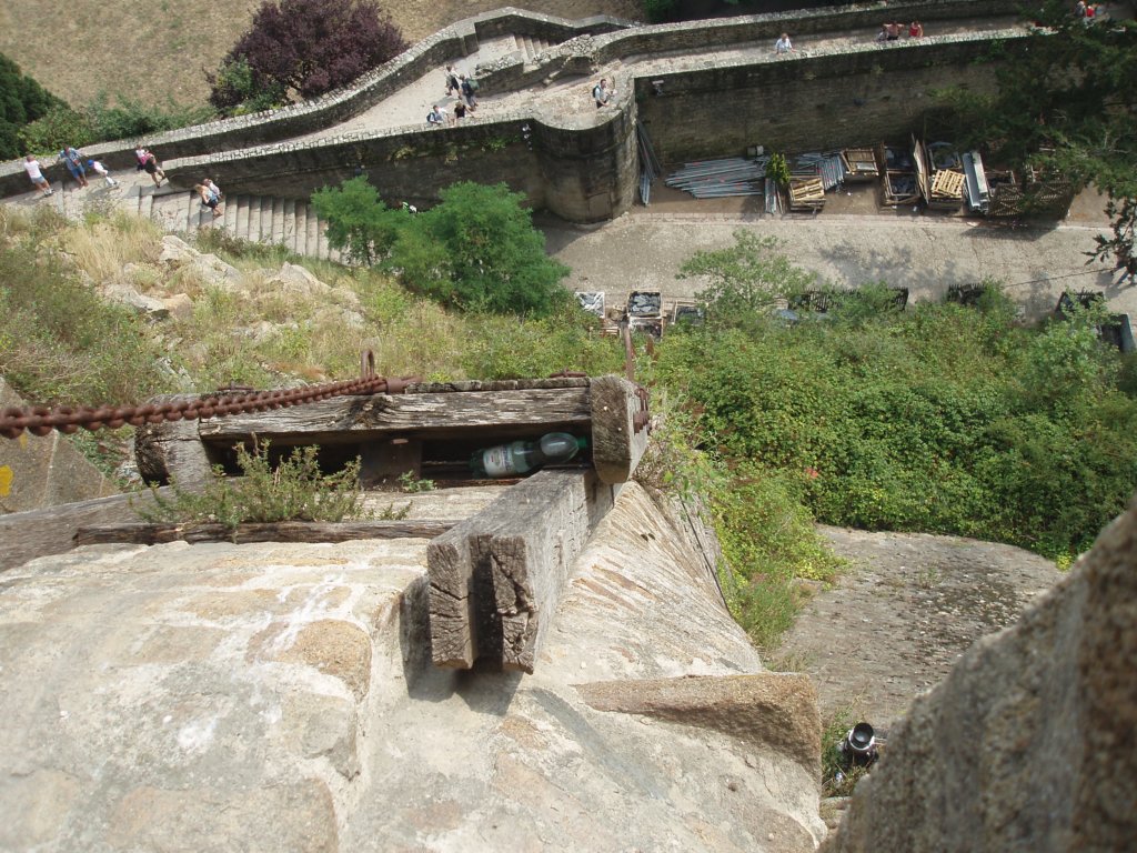 lemontecharge.jpg